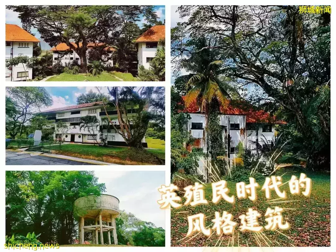 【一日姐妹遊】來新加坡殖民風情“小歐洲”！一起徒步、吃網紅美食，做戶外瑜伽