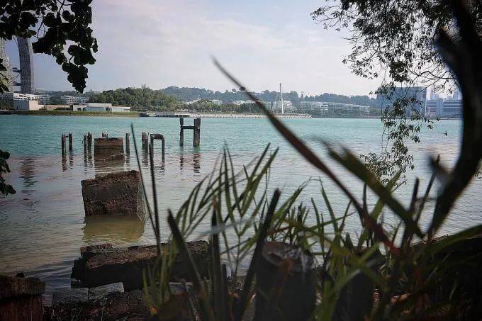 圣淘沙这个免费人少景美的遛娃胜地!我居然一次都没去过