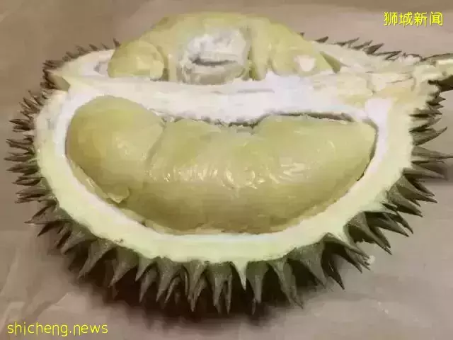 新加坡 榴梿季來襲