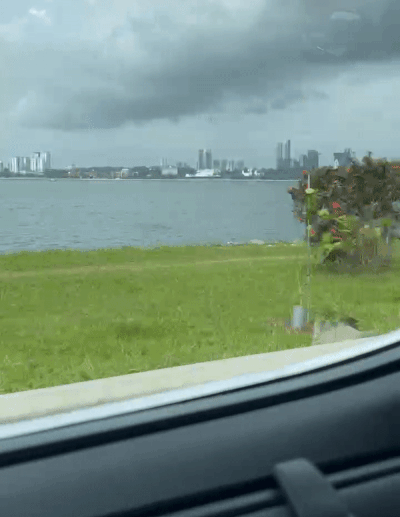 下水抓蛙、摘菜摸鱼、开土摩托……我带娃体验了一把新加坡的农家乐