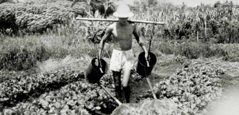 新加坡“30•30”食物愿景