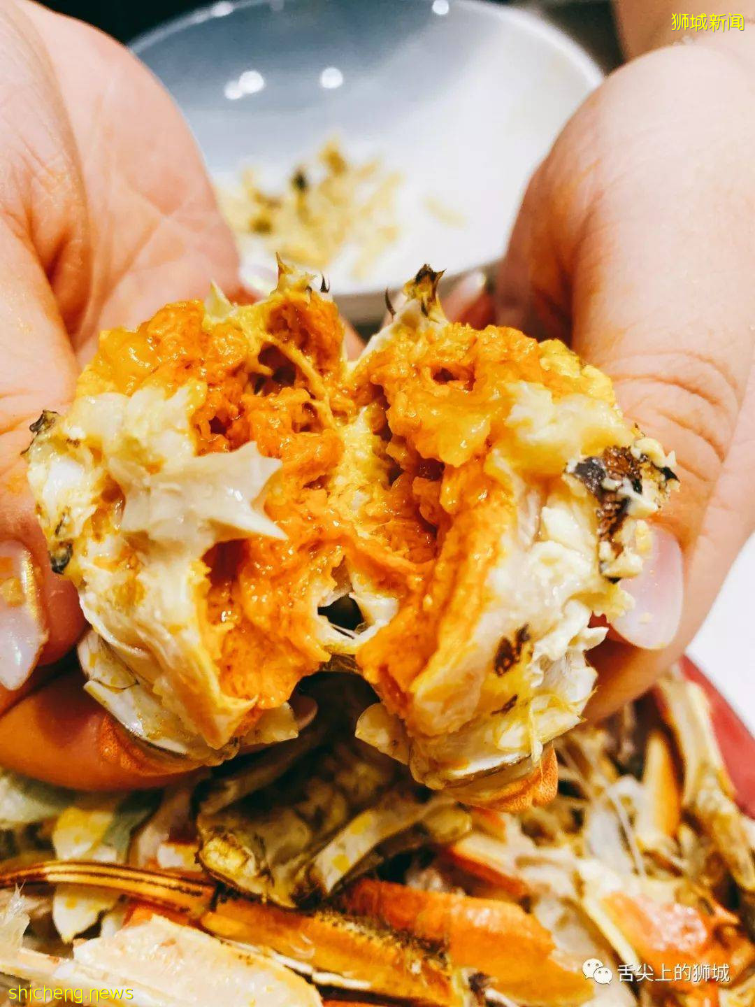 終終終于等到你！2021大閘蟹首登獅城，舌尖嘗鮮“六月黃”