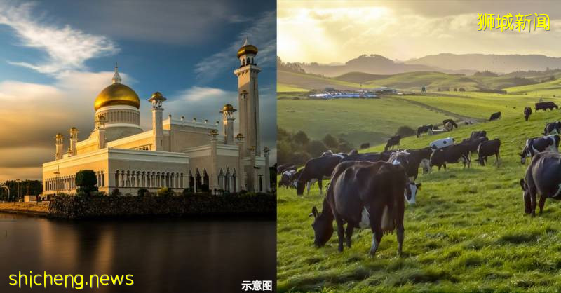 ◤新國CCB◢ 新加坡宣布放寬出遊令 可惜紐汶還不讓入境