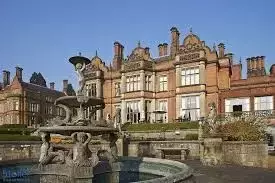 在新加坡上學，拿歐美名牌大學文憑