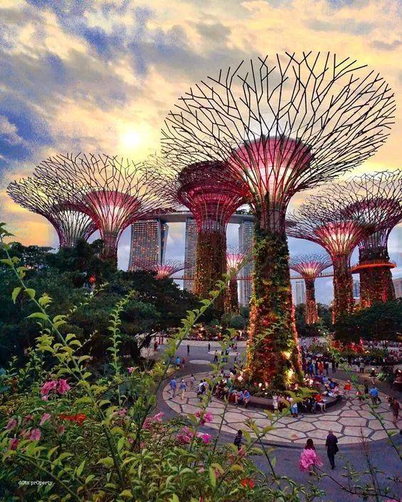 月薪3000新幣 VS 10000人民幣，再見！新加坡！還是離不開