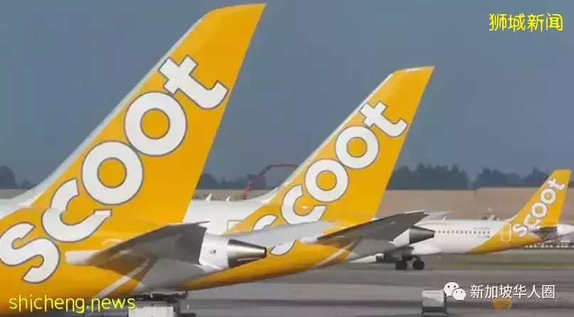 4名乘客确诊冠病！新加坡酷航飞香港航班昨日起被禁飞两周