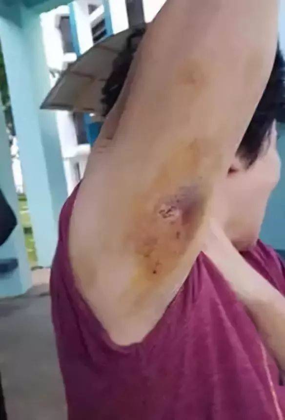 新加坡的野生动物也太不好惹了吧