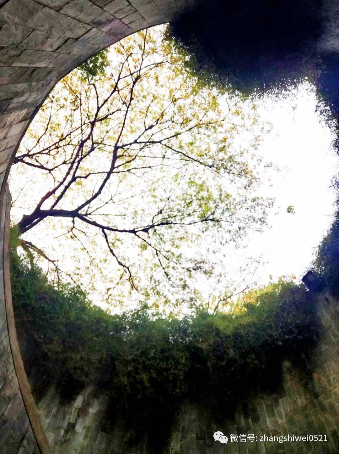 新加坡遊記系列 常規又不常規的獅城遊覽