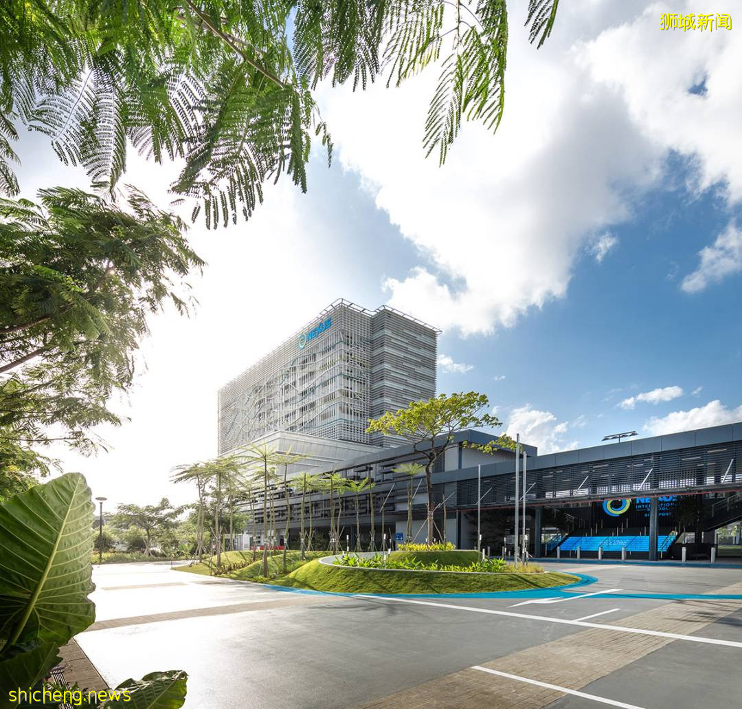 低齡留學時代來臨,新加坡中小學申請全攻略