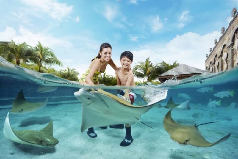 超火！新加坡旅遊局推薦6大主題樂園，看到第一個就想去