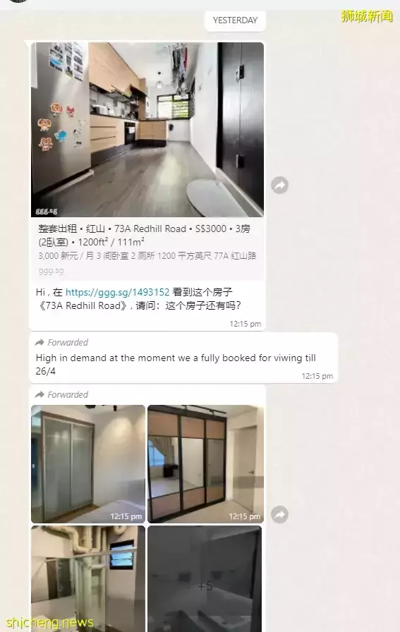 没看房先付近1万新！威胁一辈子租不到房！现在新加坡的假中介都这么嚣张吗