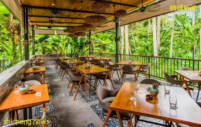 新加坡15间绝美植物主题餐厅,打卡喧嚣闹市里的绿野仙踪