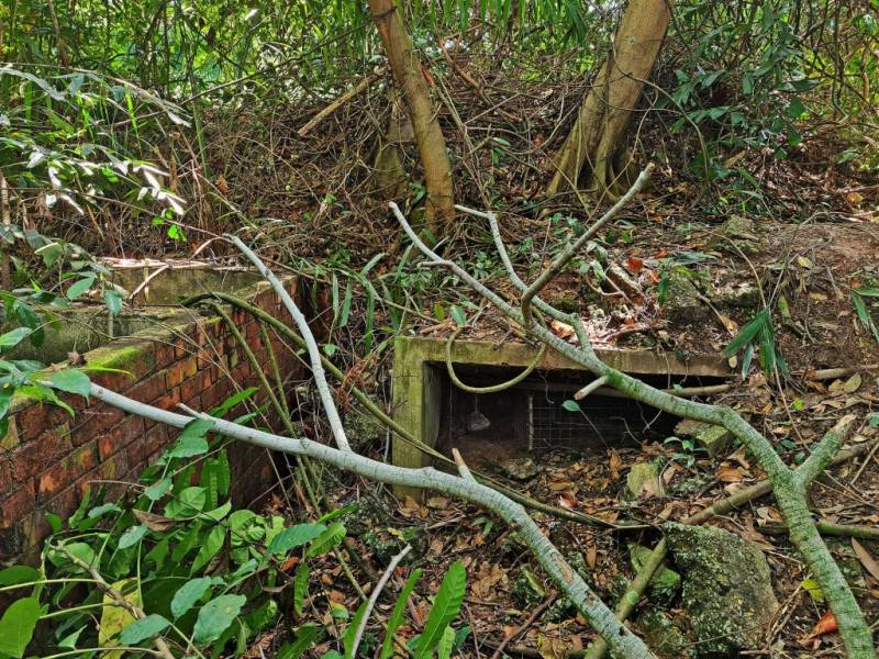 新加坡探险基地🧭 被遗弃的地堡!殖民期保留至今,岁月沧桑+攀藤弥漫的历史遗迹