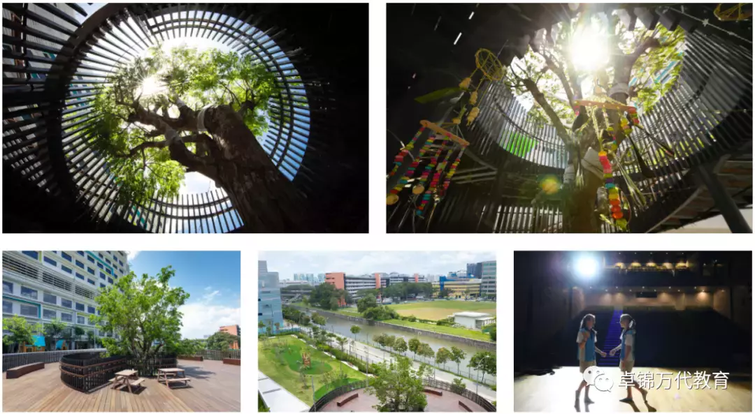 新加坡國際學校 【3】萊仕國際學校Nexus