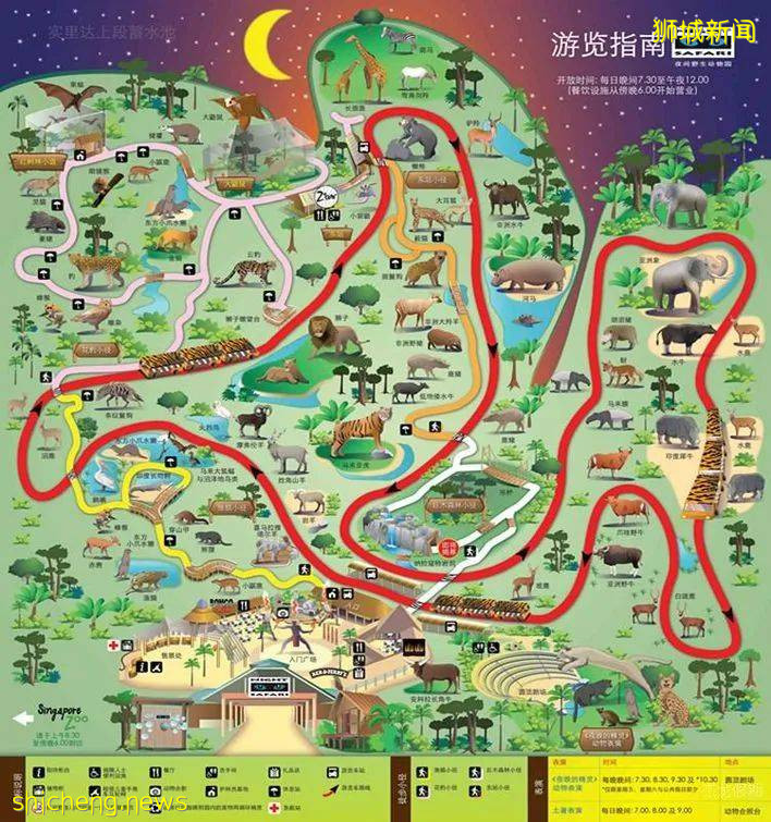 新加坡夜色玫瑰—夜间动物园