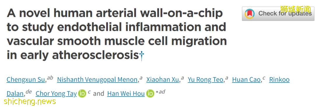 NTU 学者研制出用于研究血管疾病的3D模型
