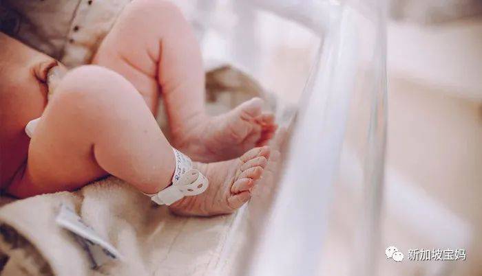 在新加坡要二胎，你，想好了嗎