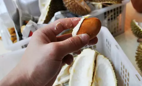 禁令解除!今天,新加坡又有鲜鸡肉了,猫山王榴梿也低至5新币