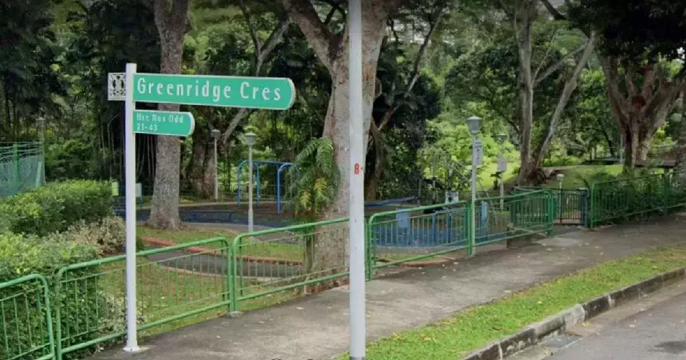 最新跟进！新加坡男童双尸案，亲生父亲涉谋杀被捕