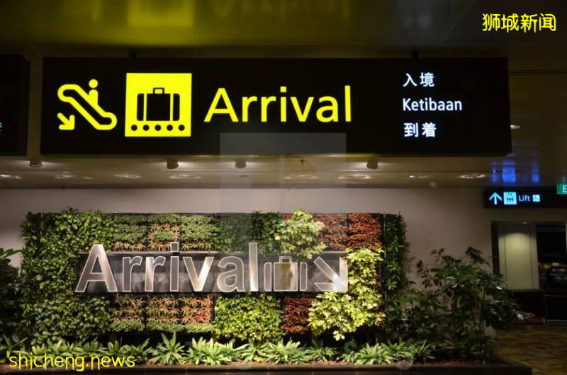 航空業複蘇中，新加坡飛中國航班增多、票價越來越便宜