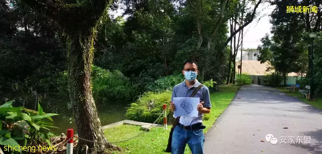 鑫悅府Normanton Park一年賣了88%，還剩224間，3月5日又將起價，手慢無