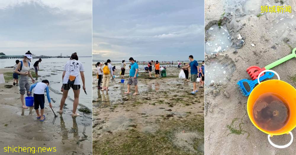 新加坡病例突然反彈,網友吐槽解封太快!學校開學通知來了