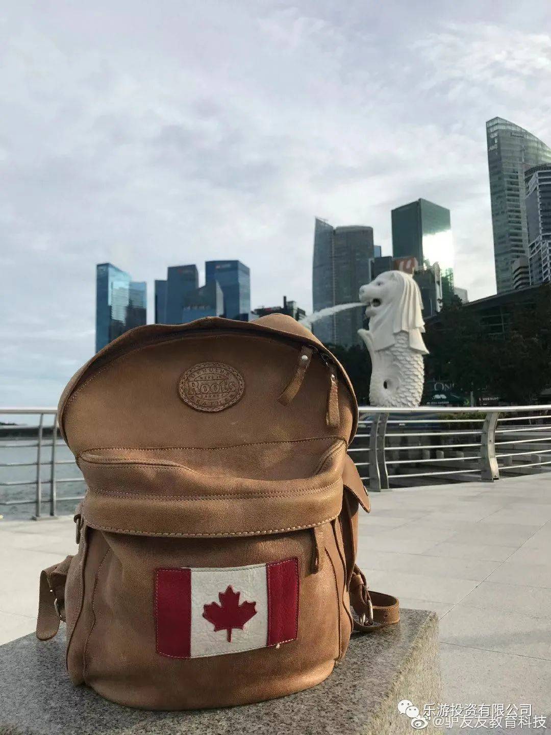 新加坡教育制度