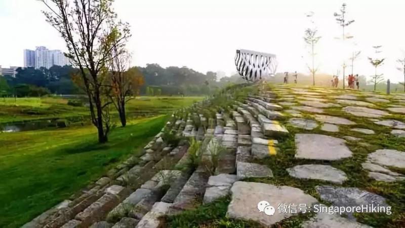 1月05号周日白徒：碧山/宏茂桥公园到贝雅士大坝