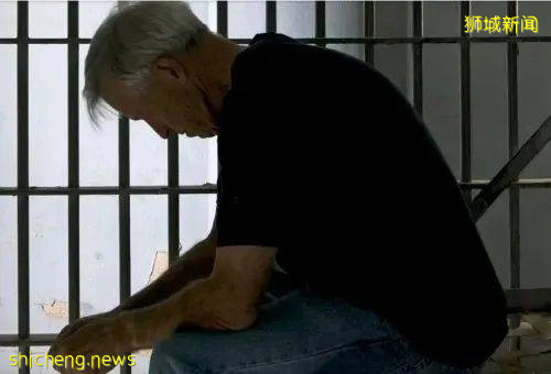 新加坡男子盗用公司打印机做私人生意70次!下月开始坐牢