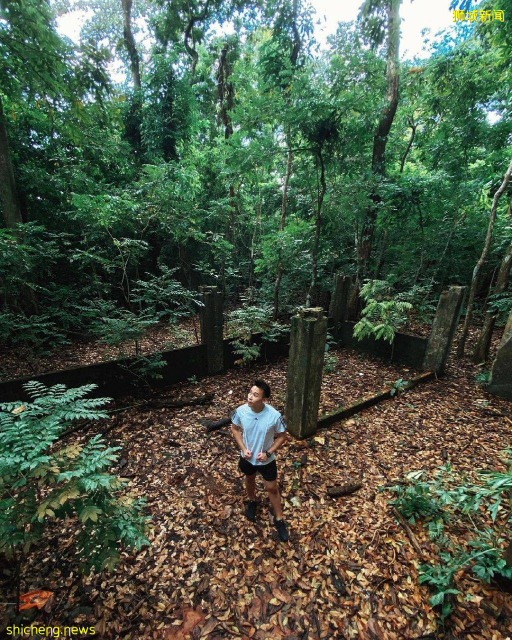 结合自然+文化遗产、汤申自然公园攻略🔎5条徒步路线、可以看到海南村旧建筑+珍稀动物🐒