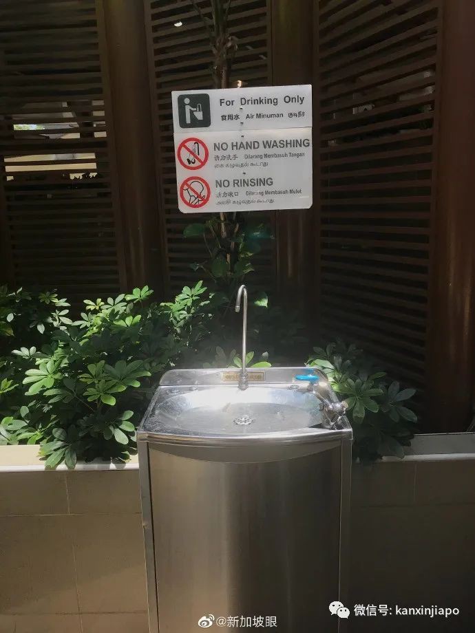 走访新加坡纽顿熟食中心,疫情期间真实状况如何?