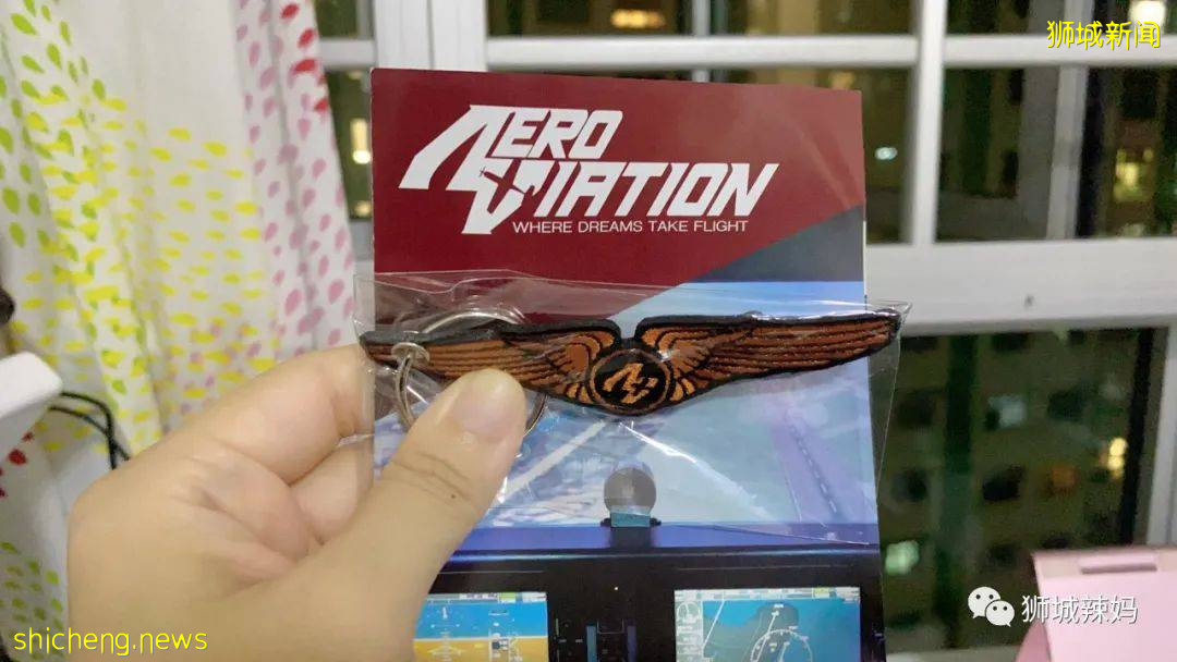 沖上雲霄！僅$75就能體驗開飛機的感覺！新加坡這間飛行學校太贊了