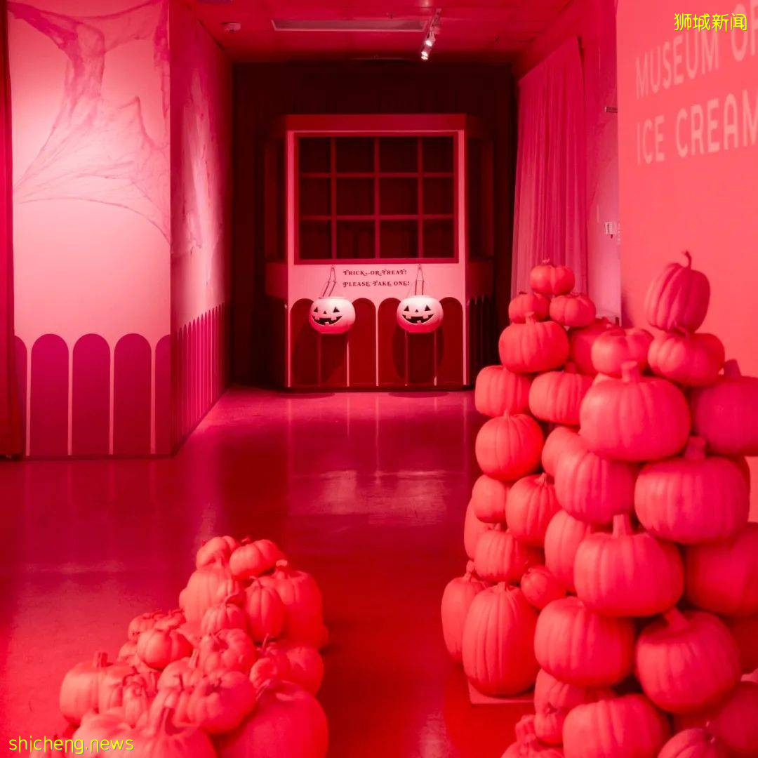 水上自行車、幽靈船、線上密室逃脫、夜宿蒙古包……新加坡的10月超精彩