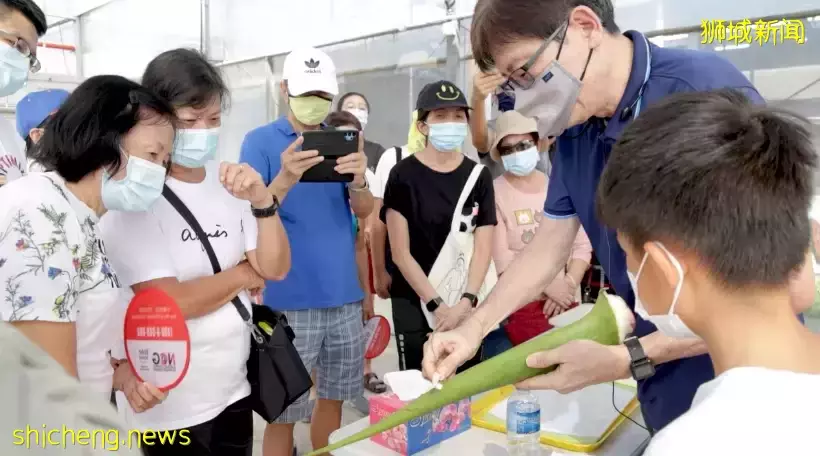 “新移民與新加坡社會”體驗系列之“科技農業之旅”