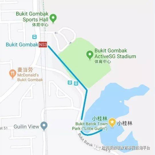 欣冉海外带您发现不一样的遛娃方式