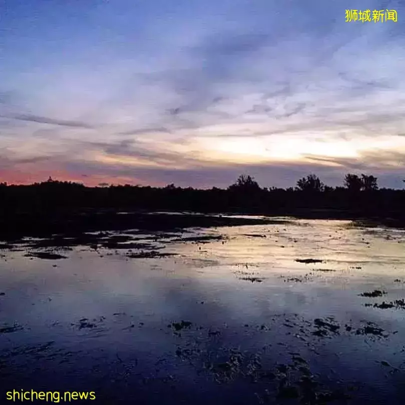 夏日必備 新加坡周邊的海島特輯