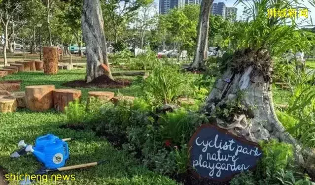 新加坡鼓励低碳出行又出新招啦