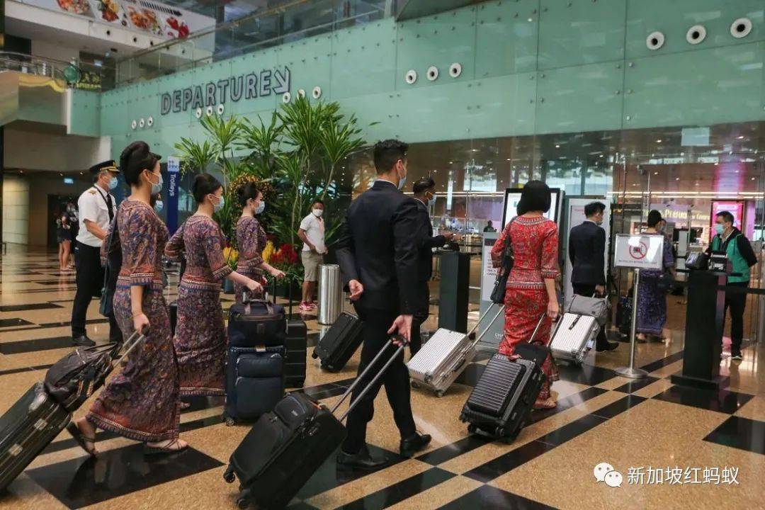 想出国想得有点疯的新加坡人，出国梦今年还得梦里相思