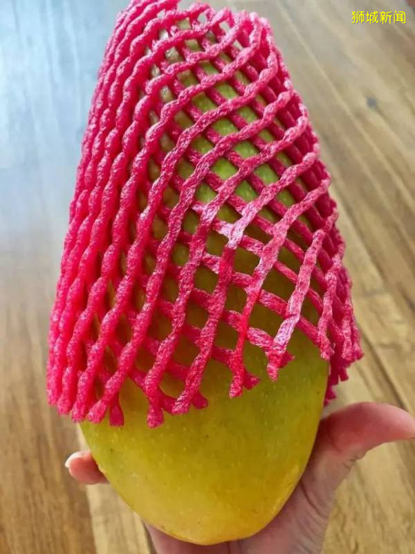 生鮮蔬果産地直送新加坡！送$19新幣，還免運費