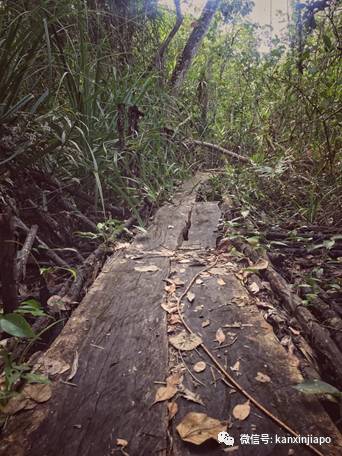 花式慶萬聖,陰森恐怖的探險之地,你敢挑戰嗎