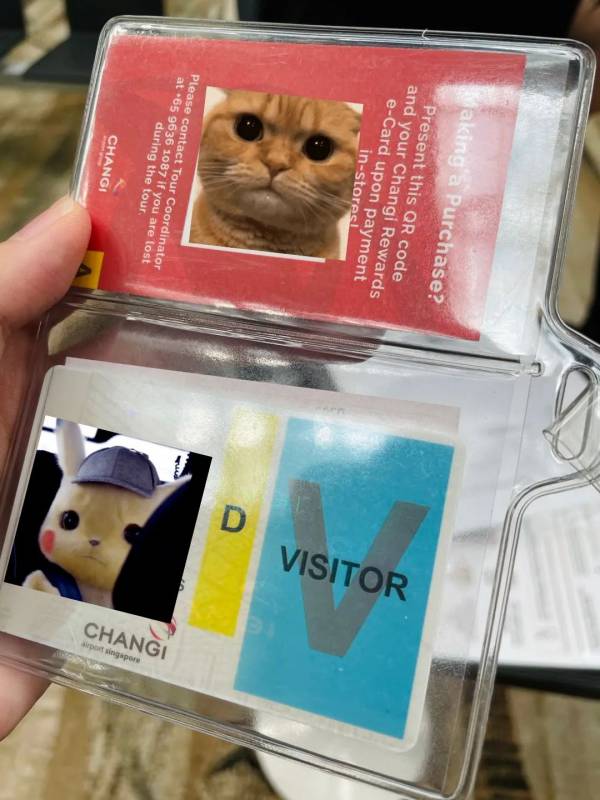 聽說很多人去了樟宜機場免稅區逛街？我們翹班去體驗了一把