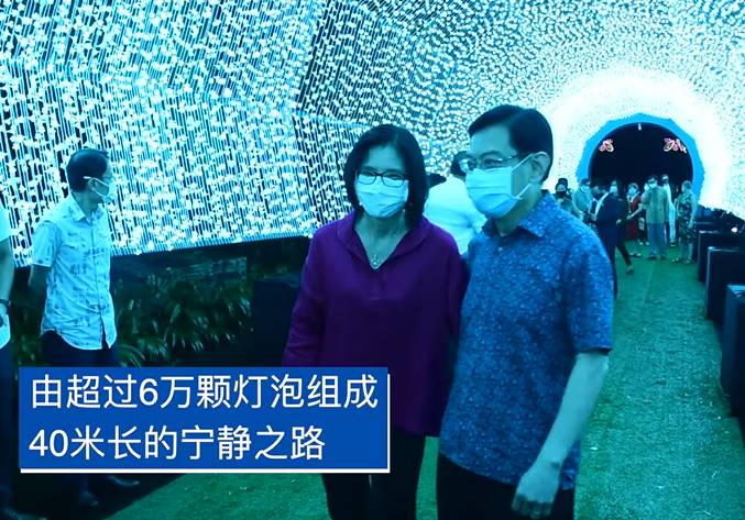 实拍！全世界都羡慕新加坡这个圣诞夜景！8个梦幻夜晚美炸了