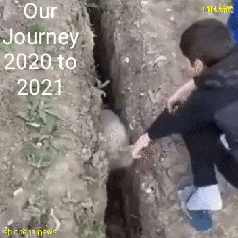 收紧防疫措施是必要之痛,但应把细节说清楚让人们不那么“痛”