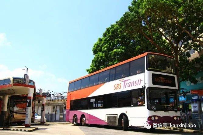 亮了！新加坡巴士“混入”香港，引行人纷纷抢拍