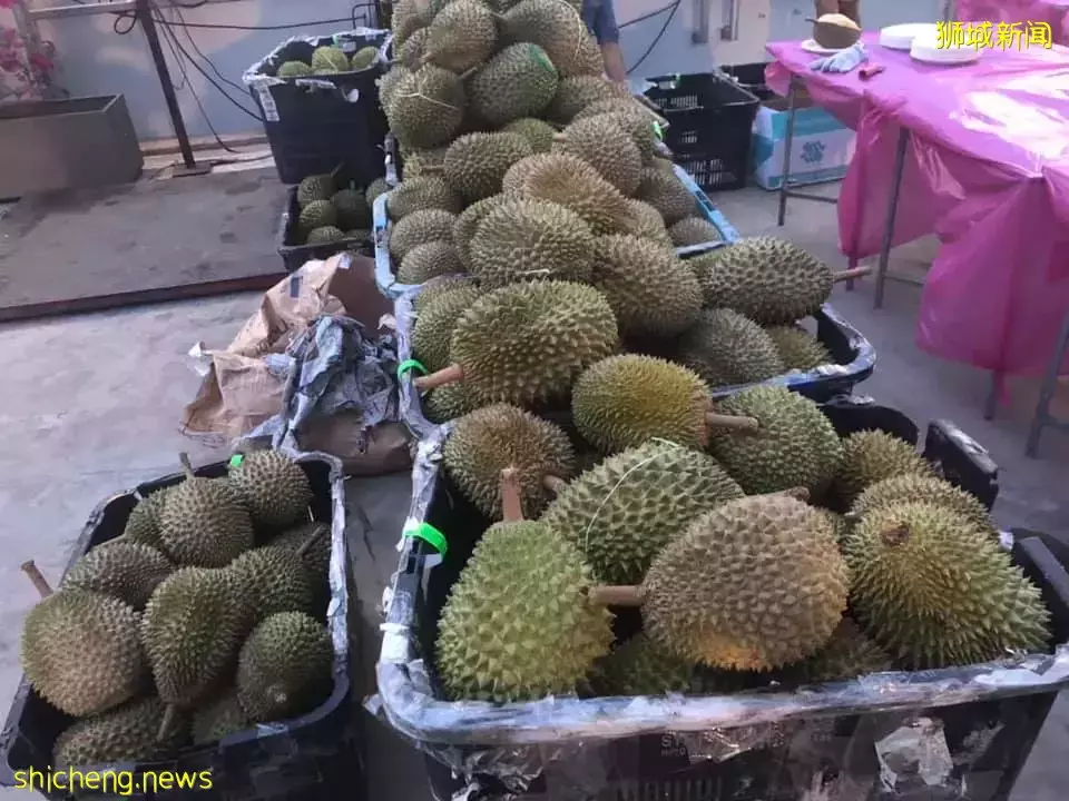 虜獲所有榴梿控!Gain City 豐城名品榴梿自助餐🤤2小時不限量任吃只需$58· 這次必須沖一波