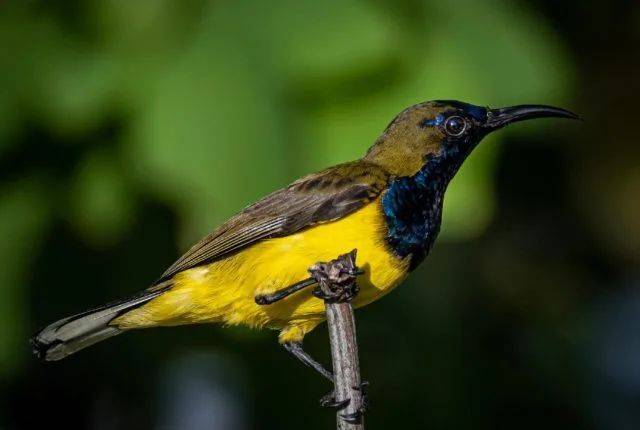 新加坡最好玩的海灘公園!趕海、騎馬、劃艇、樹籬迷宮、燒烤露營,超適合家庭出遊