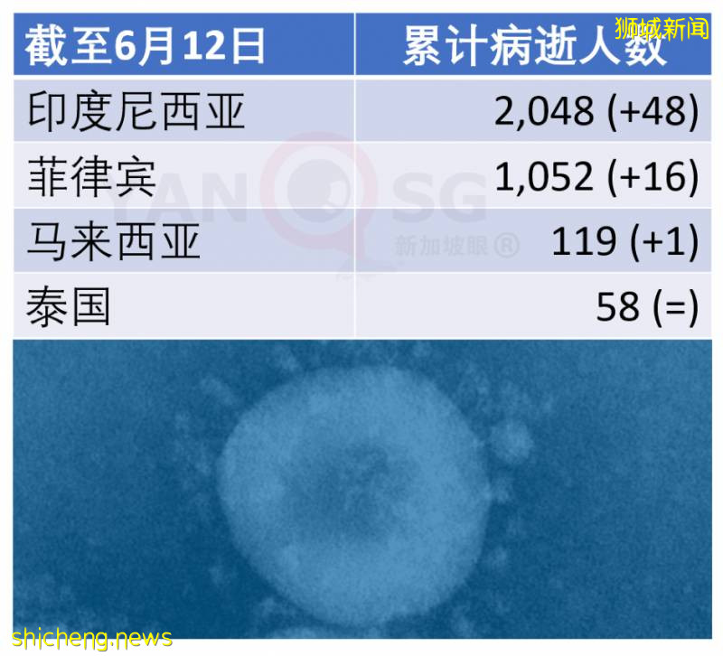 今增347，累計40197 | 新加坡骨痛熱症創下曆史新高，高峰期可達5個月!
