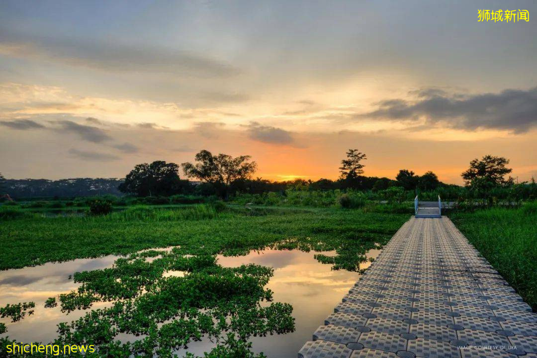 人少景美！新加坡5个自然公园推荐，第一个就心动了