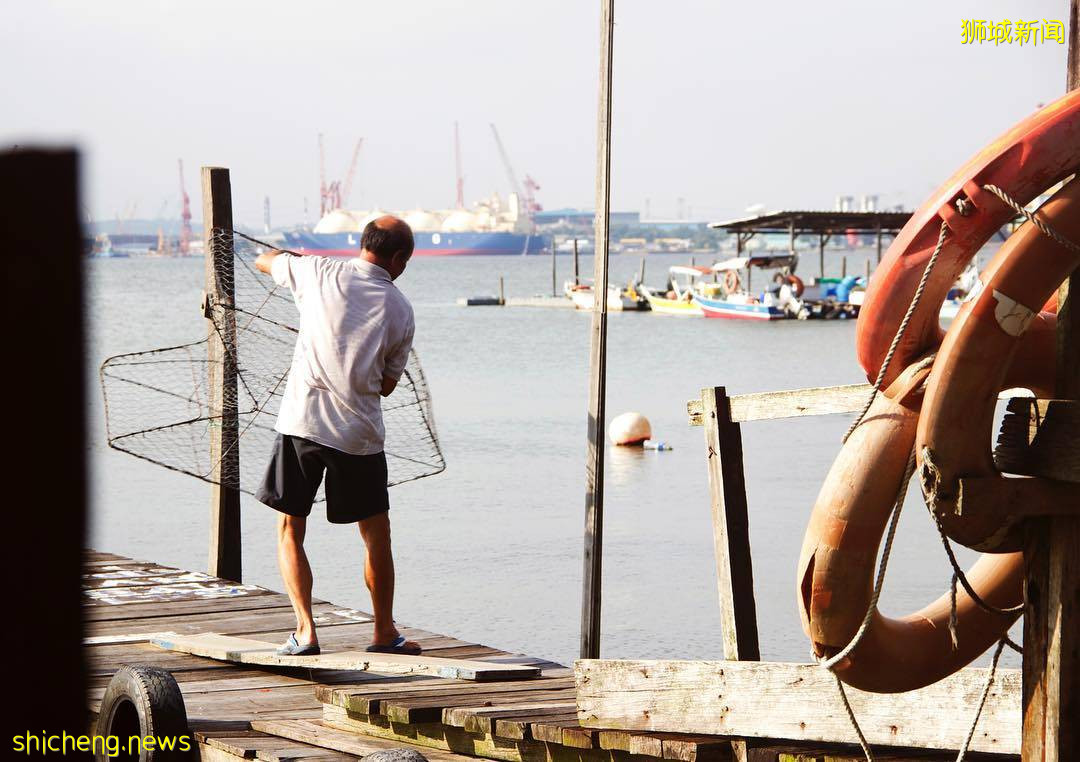 “Jenal Jetty”新加坡最后一个渔村!无水电、无网络🌐不开放给公众进入、只能在义顺水坝遥望😭