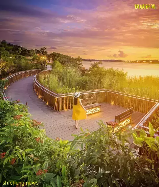 新加坡最新网红景点!风景绝美必打卡